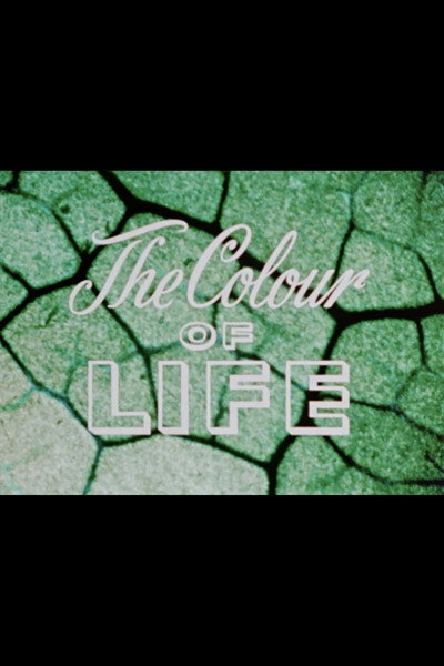 Póster de The Colour of Life