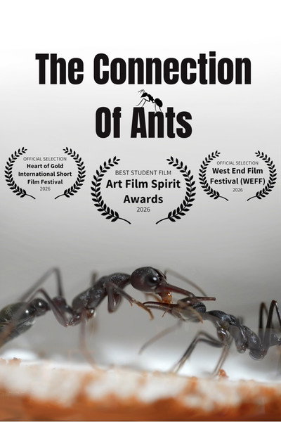 Póster de The Connection of Ants