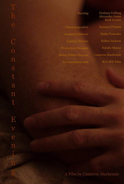 Póster de The Constant Evening