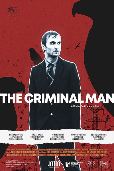 Póster de The Criminal Man