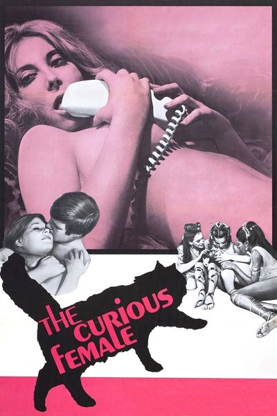 Póster de The Curious Female