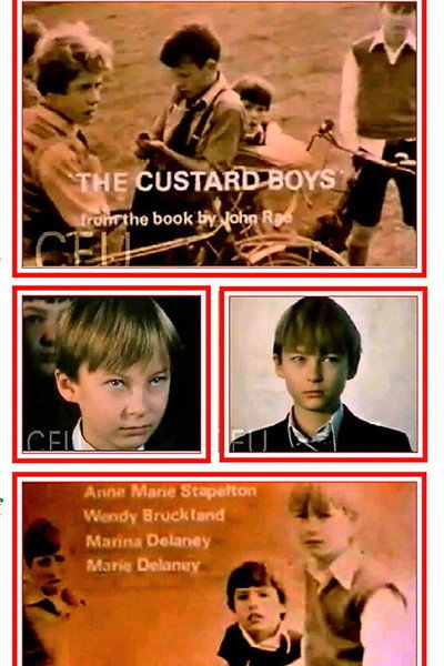 Póster de The Custard Boys