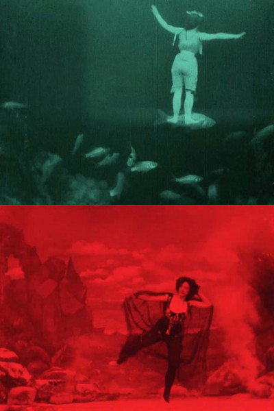 Póster de The Dancer's Dream