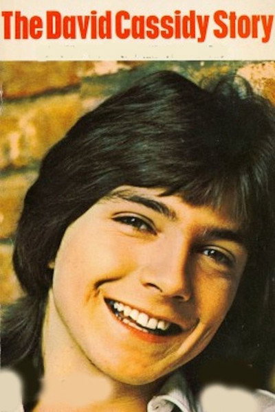 Póster de The David Cassidy Story