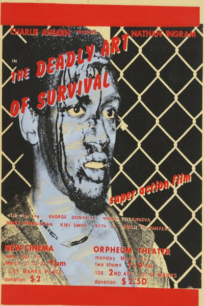 Póster de The Deadly Art of Survival