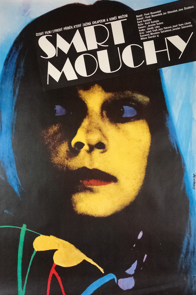 Póster de The Death of a Fly