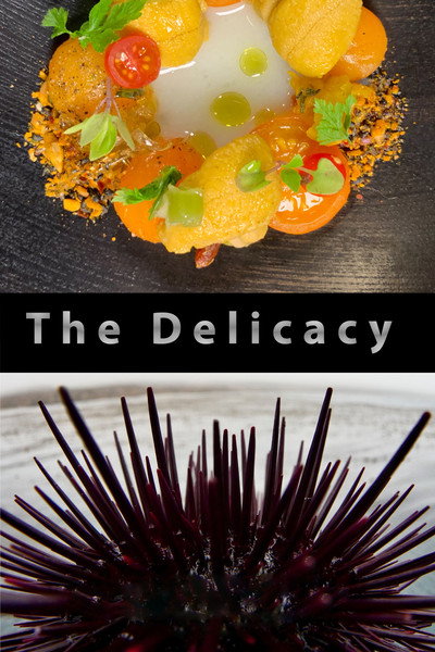 Póster de The Delicacy
