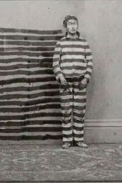 Póster de The Disintegrated Convict