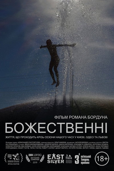 Póster de The Diviners