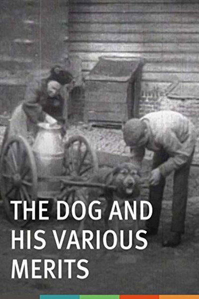 Póster de The Dog and His Various Merits