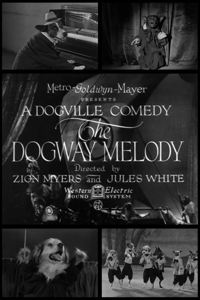 Póster de The Dogway Melody
