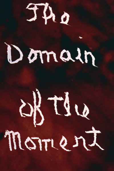 Póster de The Domain of the Moment