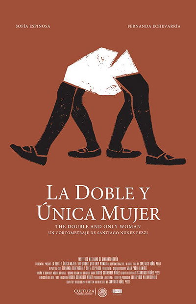 Póster de The double and only woman