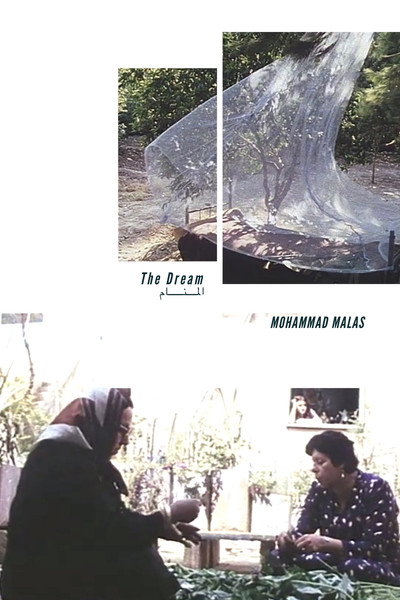 Póster de The Dream
