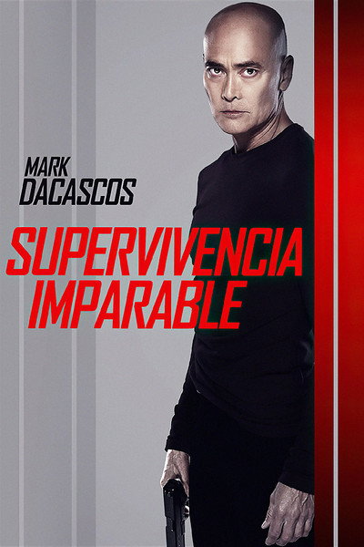 Póster de The Driver