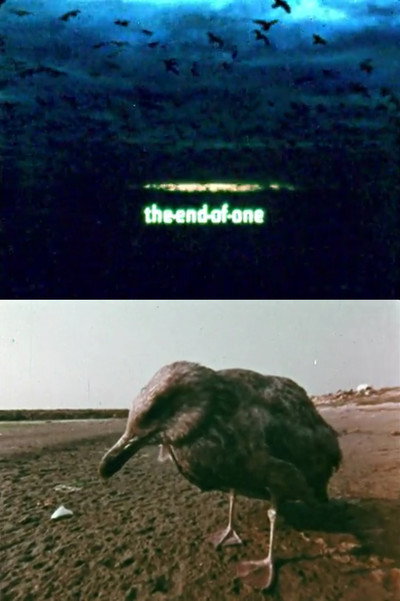 Póster de The End of One