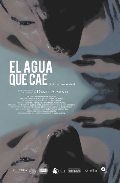 Póster de The Falling Water