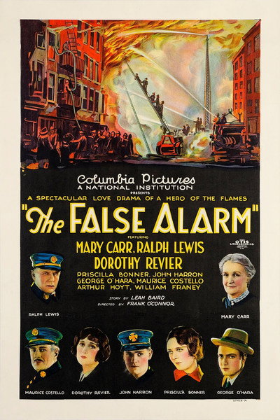 Póster de The False Alarm