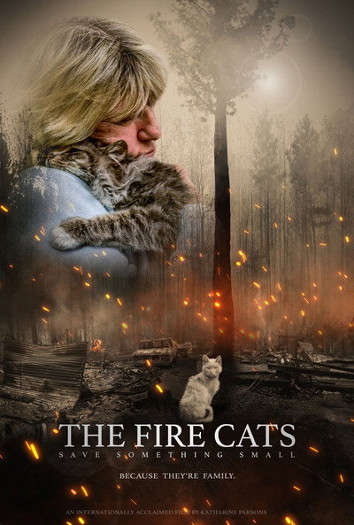 Póster de The Fire Cats: Save Something Small