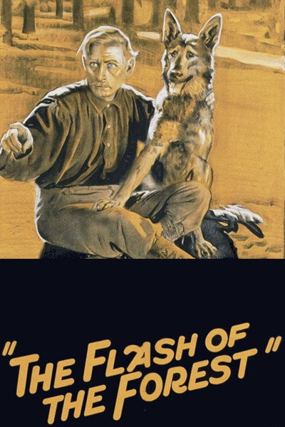 Póster de The Flash of the Forest