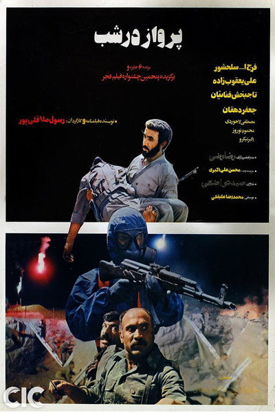 Póster de The Flight in the Night