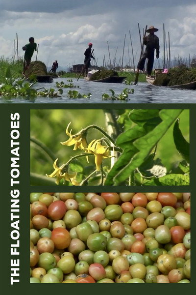 Póster de The Floating Tomatoes