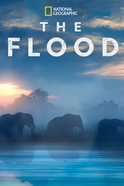 Póster de The Flood