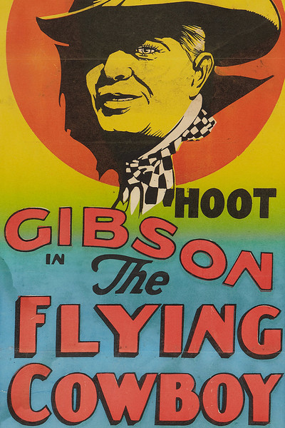 Póster de The Flyin' Cowboy