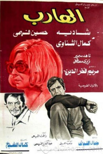 Póster de The Fugitive