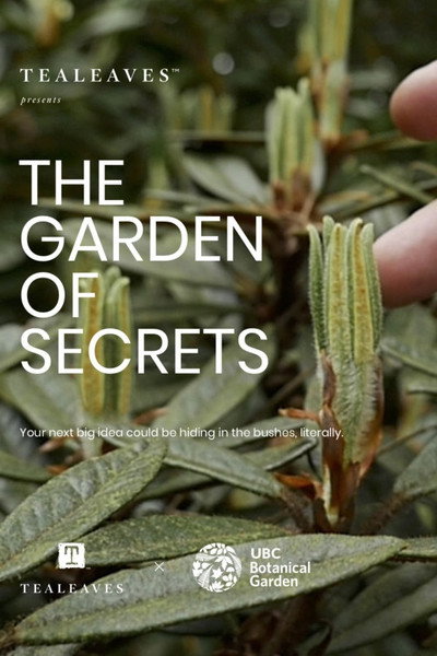 Póster de The Garden of Secrets