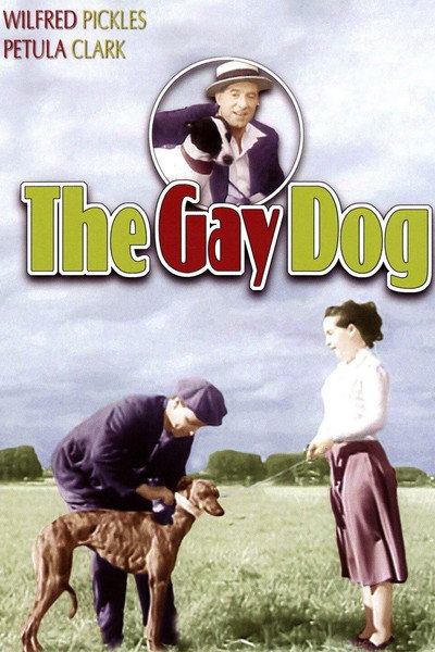 Póster de The Gay Dog