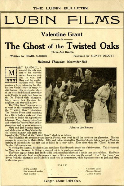 Póster de The Ghost of Twisted Oaks