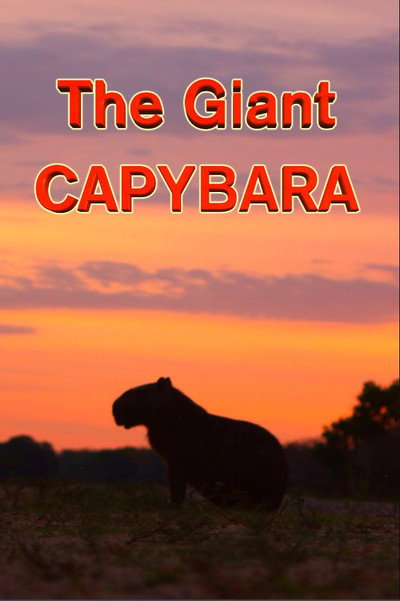 Póster de The Giant Capybara