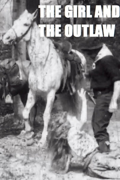 Póster de The Girl and the Outlaw