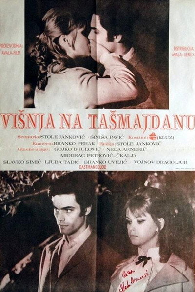 Póster de The Girl in the Park