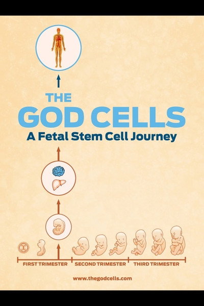 Póster de The God Cells