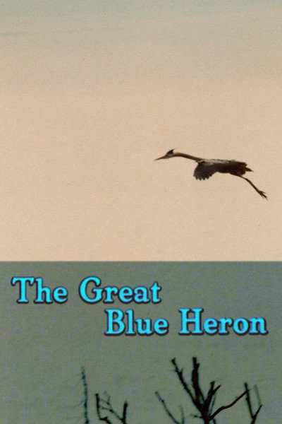 Póster de The Great Blue Heron