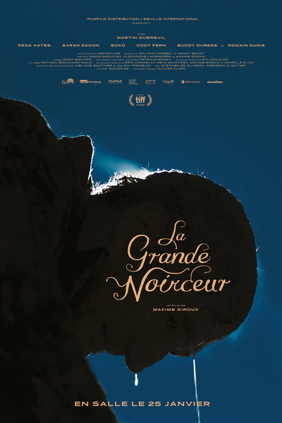 Póster de The Great Darkened Days