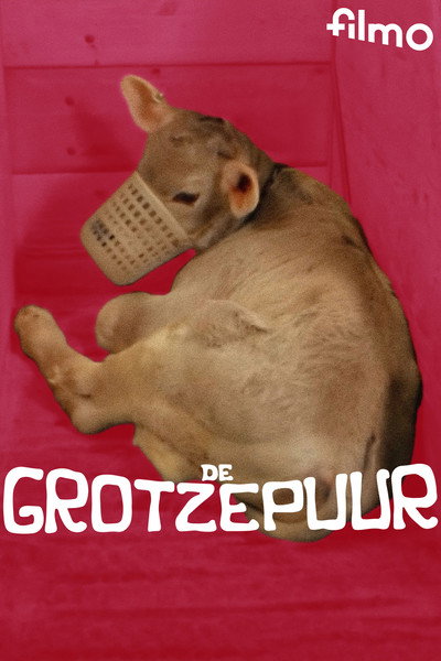 Póster de The Grotze Farmer