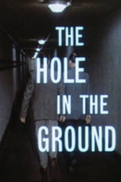 Póster de The Hole in the Ground