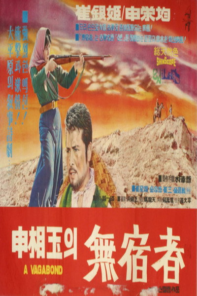 Póster de The Homeless Wanderer