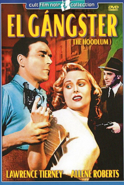 Póster de The Hoodlum