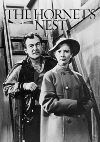 Póster de The Hornet's Nest