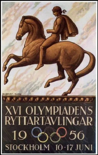 Póster de The Horse in Focus
