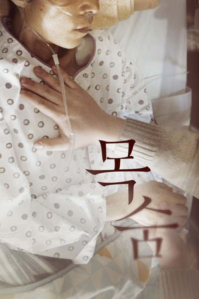 Póster de The Hospice