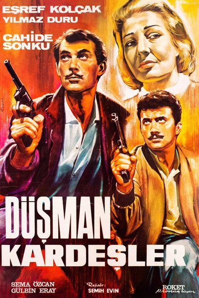 Póster de The Hostile Brothers