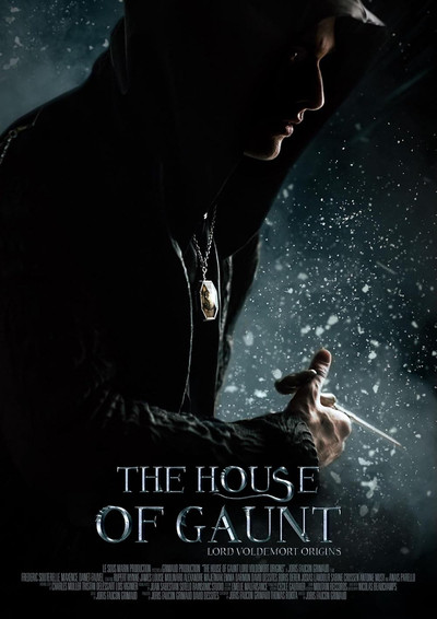 Póster de The House of Gaunt