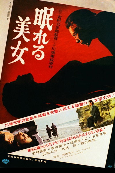 Póster de The House of the Sleeping Virgins