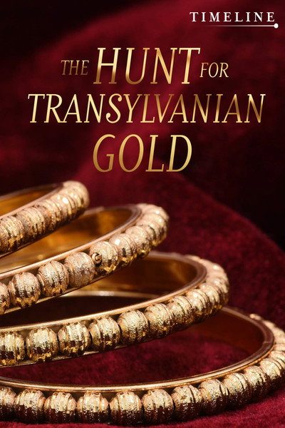 Póster de The Hunt for Transylvanian Gold