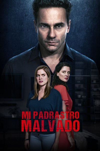 Póster de The Husband